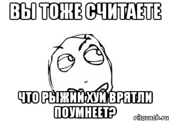 вы тоже считаете что рыжий хуй врятли поумнеет?, Мем Мне кажется или