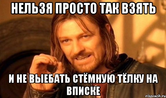 нельзя просто так взять и не выебать стёмную тёлку на вписке, Мем Нельзя просто так взять и (Боромир мем)