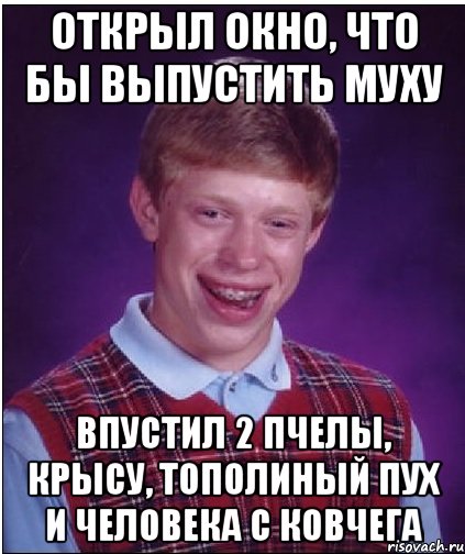 открыл окно, что бы выпустить муху впустил 2 пчелы, крысу, тополиный пух и человека с ковчега, Мем Неудачник Брайан