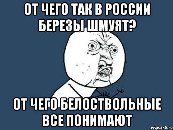 от чего так в россии березы шмуят? от чего белоствольные все понимают, Мем Ну почему