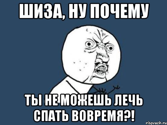 Когда она ложилась спать он догонял ее. Шиза Мем. Шиза прикол. Мемы про шизу. Привет шиза.