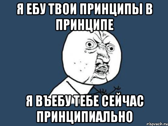 я ебу твои принципы в принципе я въебу тебе сейчас принципиально, Мем Ну почему