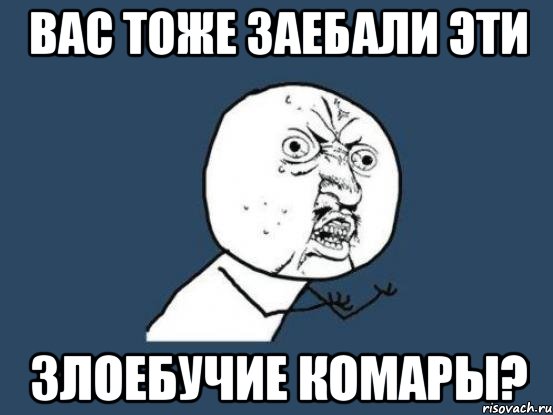 вас тоже заебали эти злоебучие комары?, Мем Ну почему