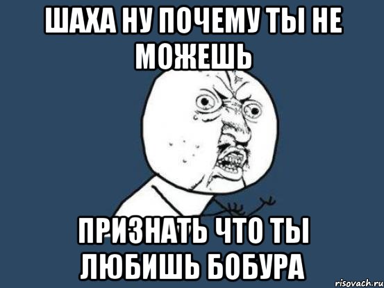 шаха ну почему ты не можешь признать что ты любишь бобура, Мем Ну почему