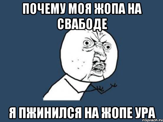 почему моя жопа на свабоде я пжинился на жопе ура, Мем Ну почему