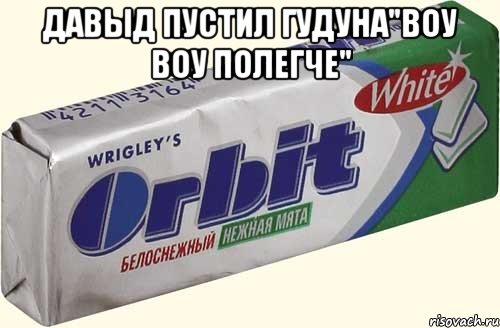 давыд пустил гудуна"воу воу полегче" 