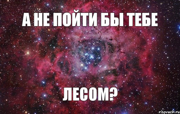 Иди лесом. Иди лесом Мем. Иди лесом картинки. Иди ты лесом. Картинки а ты иди лесом.