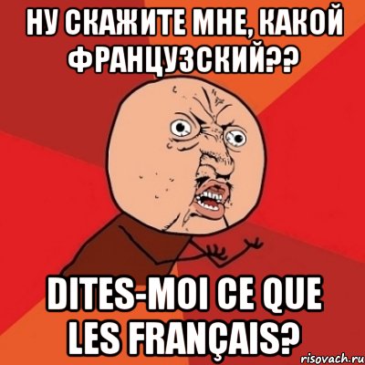 ну скажите мне, какой французский?? dites-moi ce que les français?, Мем Почему