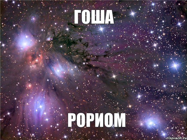 гоша рориом, Мем Космос