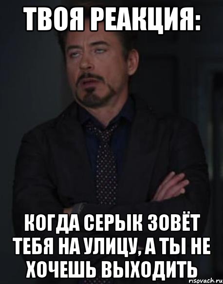 твоя реакция: когда серык зовёт тебя на улицу, а ты не хочешь выходить, Мем твое выражение лица