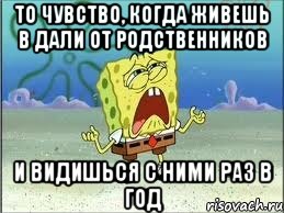 то чувство, когда живешь в дали от родственников и видишься с ними раз в год, Мем Спанч Боб плачет