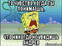 то чувство,когда ты понимаешь, что никогда не увидишь андрея, Мем Спанч Боб плачет