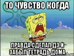 то чувство когда правда сделал дз и забыл тетрадь дома, Мем Спанч Боб плачет