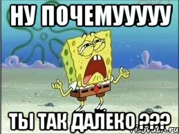 ну почемууууу ты так далеко ???, Мем Спанч Боб плачет