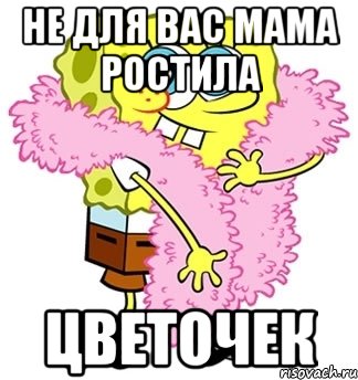 Цветочек мем