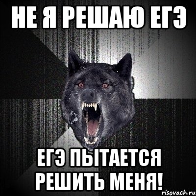 Танцующий волк мем. Мем волк ЕГЭ. Мемы решу ЕГЭ. Пытался решиться. Погоня Мем ЕГЭ.