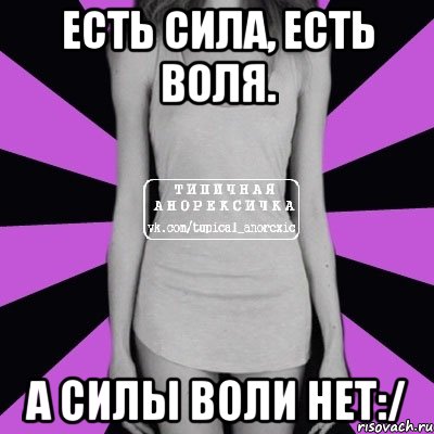 Силой воли не ем. Сила есть Воля есть а силы воли. Сила есть Воля есть а силы воли нет картинки. Сила воли смешные картинки.