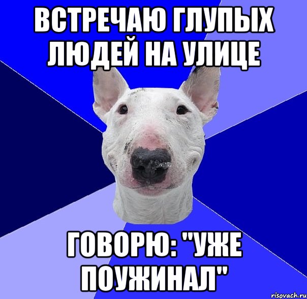 встречаю глупых людей на улице говорю: "уже поужинал", Мем типичный буль