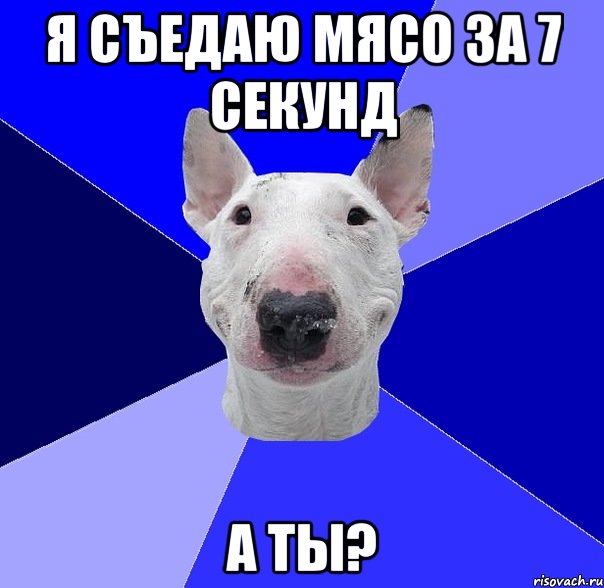 я съедаю мясо за 7 секунд а ты?