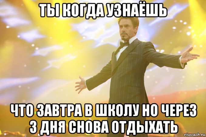 ты когда узнаёшь что завтра в школу но через 3 дня снова отдыхать, Мем Тони Старк (Роберт Дауни младший)