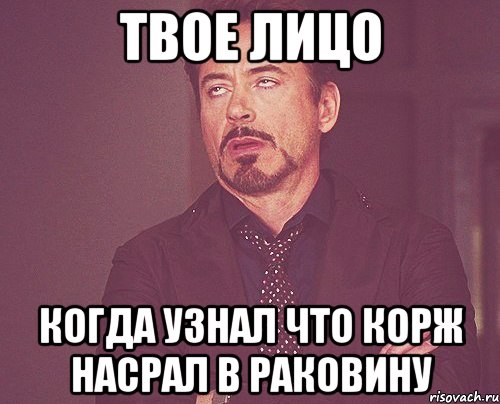 твое лицо когда узнал что корж насрал в раковину, Мем твое выражение лица