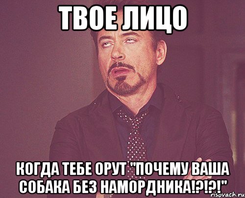 твое лицо когда тебе орут "почему ваша собака без намордника!?!?!", Мем твое выражение лица