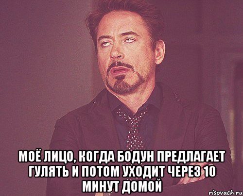  моё лицо, когда бодун предлагает гулять и потом уходит через 10 минут домой, Мем твое выражение лица