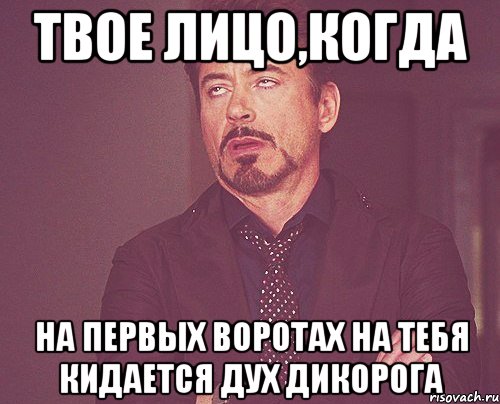 твое лицо,когда на первых воротах на тебя кидается дух дикорога, Мем твое выражение лица