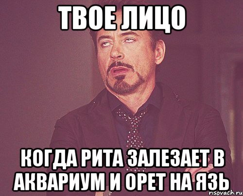 твое лицо когда рита залезает в аквариум и орет на язь, Мем твое выражение лица