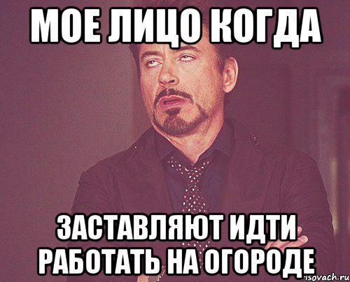 мое лицо когда заставляют идти работать на огороде, Мем твое выражение лица