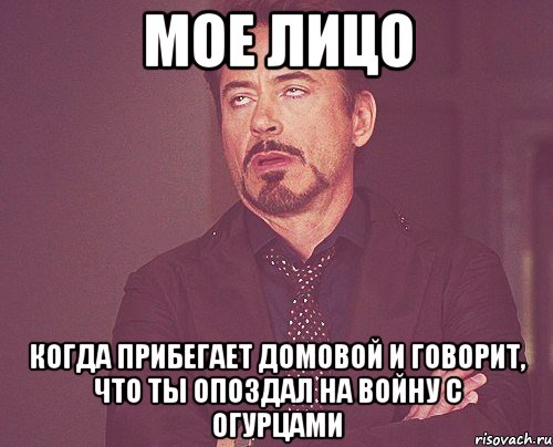 мое лицо когда прибегает домовой и говорит, что ты опоздал на войну с огурцами, Мем твое выражение лица