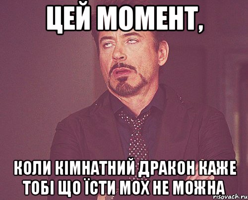 цей момент, коли кімнатний дракон каже тобі що їсти мох не можна, Мем твое выражение лица