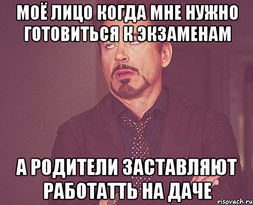 моё лицо когда мне нужно готовиться к экзаменам а родители заставляют работатть на даче, Мем твое выражение лица