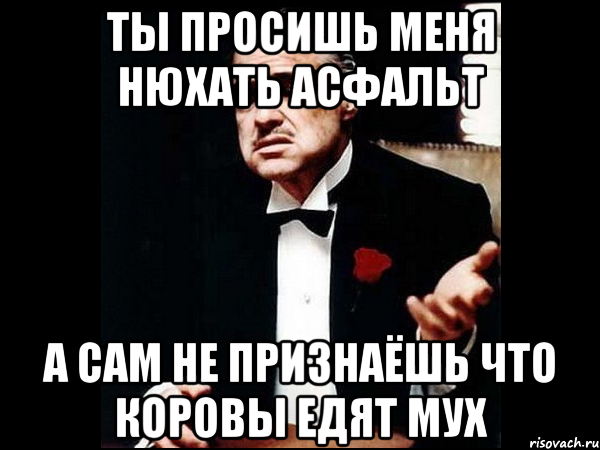 ты просишь меня нюхать асфальт а сам не признаёшь что коровы едят мух