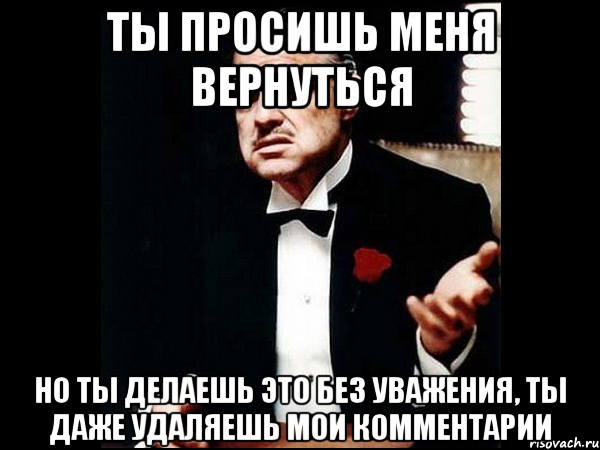 ты просишь меня вернуться но ты делаешь это без уважения, ты даже удаляешь мои комментарии