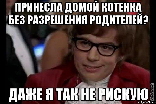 принесла домой котенка без разрешения родителей? даже я так не рискую, Мем Остин Пауэрс (я тоже люблю рисковать)