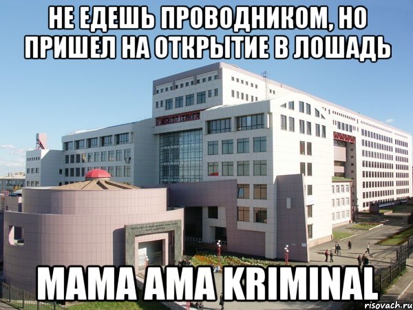 не едешь проводником, но пришел на открытие в лошадь mama ama kriminal, Мем Железка