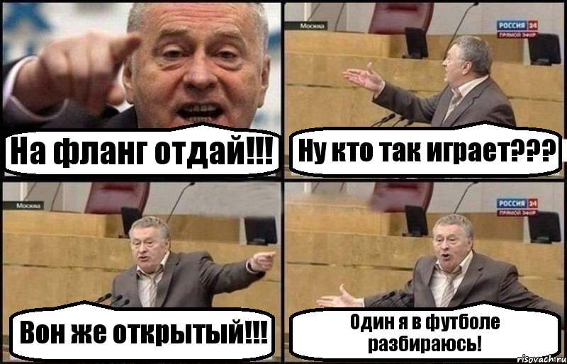 На фланг отдай!!! Ну кто так играет??? Вон же открытый!!! Один я в футболе разбираюсь!, Комикс Жириновский