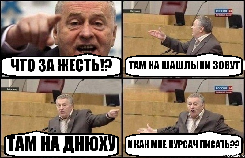 ЧТО ЗА ЖЕСТЬ!? ТАМ НА ШАШЛЫКИ ЗОВУТ ТАМ НА ДНЮХУ И КАК МНЕ КУРСАЧ ПИСАТЬ??, Комикс Жириновский