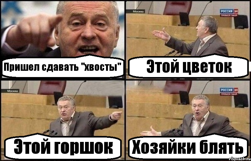 Пришел сдавать "хвосты" Этой цветок Этой горшок Хозяйки блять, Комикс Жириновский