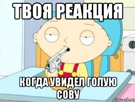 твоя реакция когда увидел голую сову, Мем Стьюи Гриффин хочет застрелиться