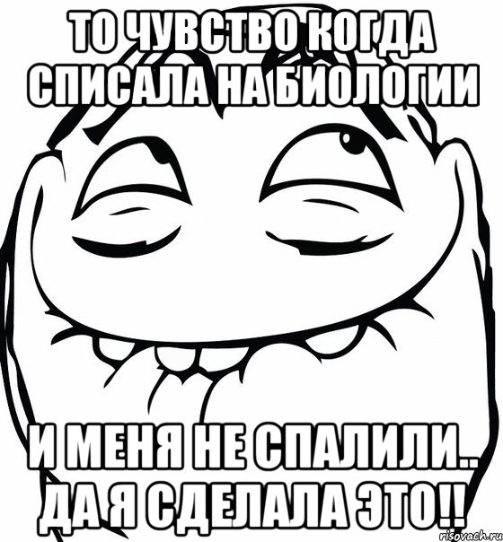 то чувство когда списала на биологии и меня не спалили.. да я сделала это!!, Мем  аааа