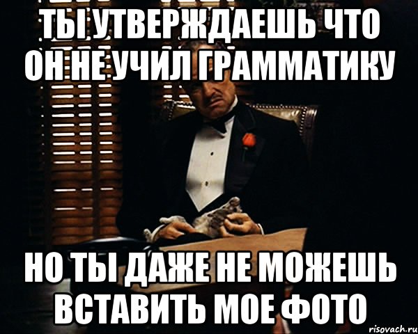 Позвольте вставлю. Не учи ученого продолжение. Не учи ученого картинка. Учит грамматике Мем. Не учи ученого афоризм.