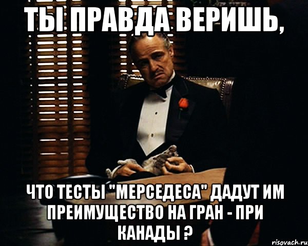 Верящий в правду. Вито Корлеоне посмотрите что они сделали с моим мальчиком. Ты правда в это веришь ?. Ты просто завидуешь что я звезда.