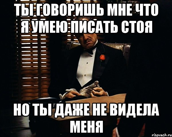 Пиши стой. Я умею писать. Я не умею писать. Писать умеешь. Это ты мне говоришь.