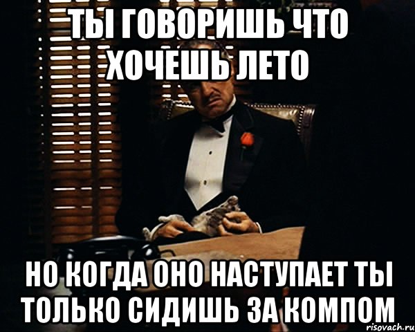 ты говоришь что хочешь лето но когда оно наступает ты только сидишь за компом, Мем Дон Вито Корлеоне