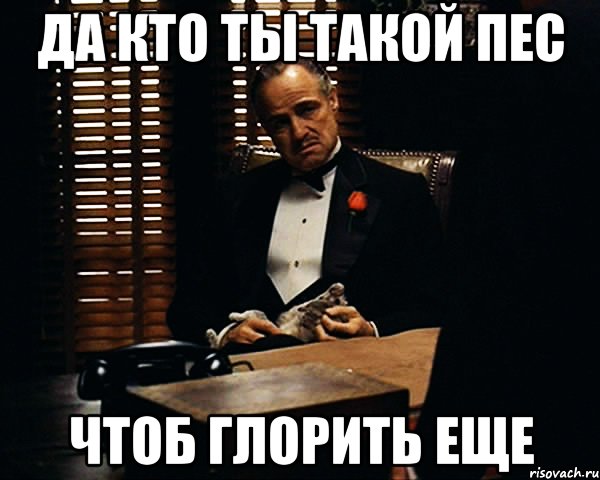 Да кто. Да кто ты такой. Да кто ты такой чтобы мне запрещать. Да кто ты такой чтобы мне запрещать Доминик. Любой каприз за ваши деньги Мем.