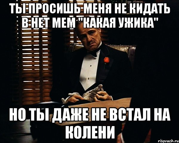 Не вставай на колени. Мем борща достоин только папа. Мать накрывай на стол Мем. Я умоляю тебя на коленях.