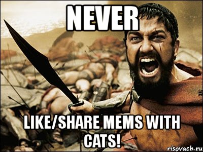 never like/share mems with cats!, Мем Это Спарта