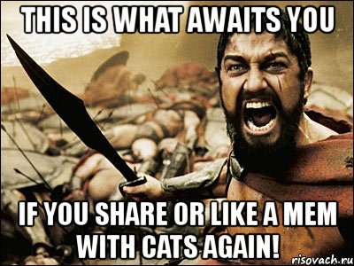 this is what awaits you if you share or like a mem with cats again!, Мем Это Спарта